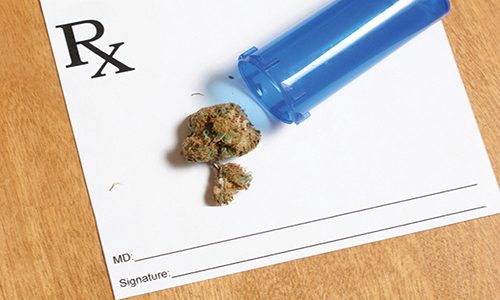 Medical Marijuana in the Workplace: HR Policies & Guidelines